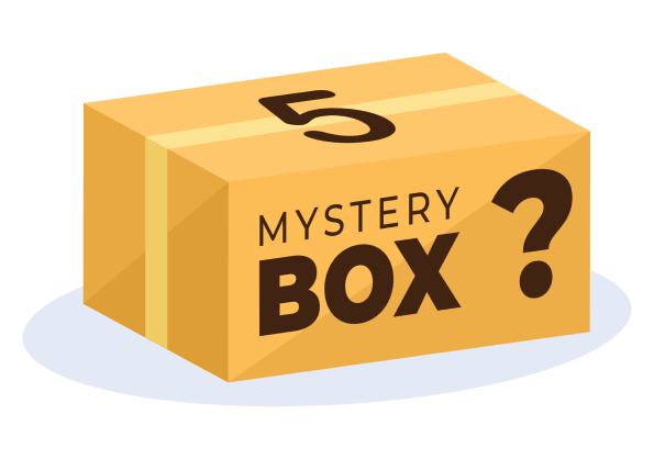 Mistery Box - 5 Shoes