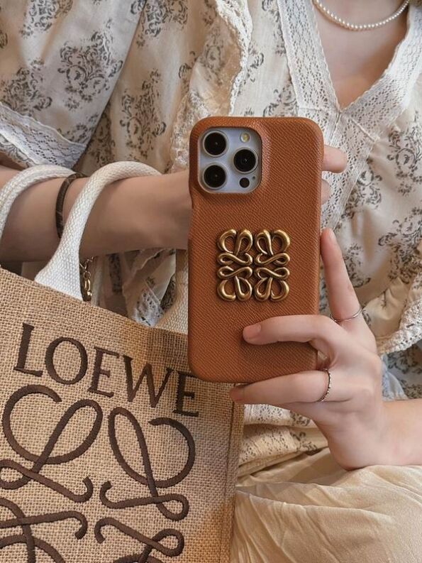 Loewe iPhone Case